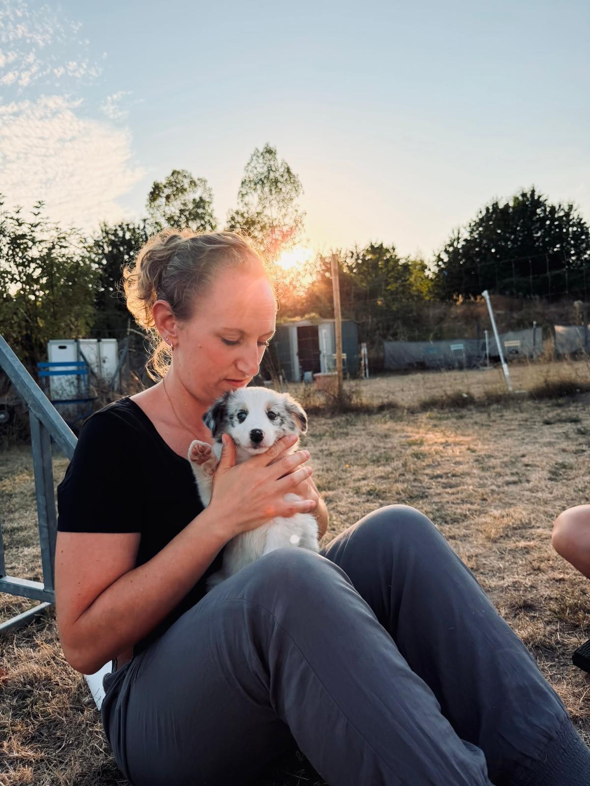 Concetta Nestola hält einen Welpen im Sonnenuntergang